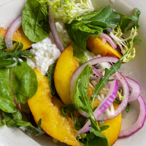 pickled nectarine salad with burrata - rob's little kitchen